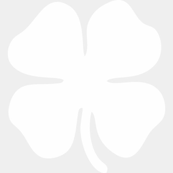 Shamrock White Thumbnail