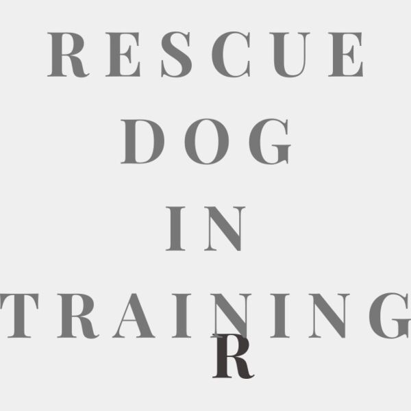 Rescue Dog In Training  Thumbnail